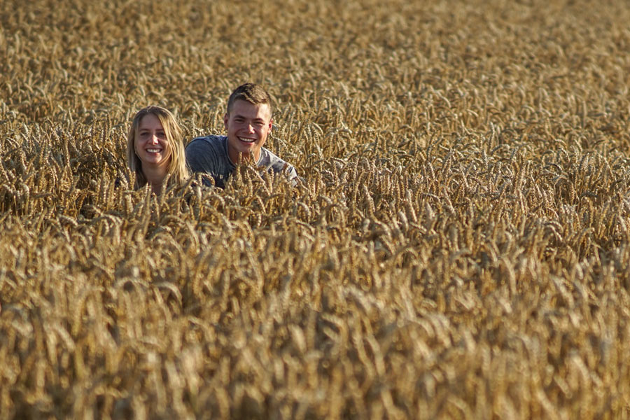 Dekoratives Bild Dekoratives Bild