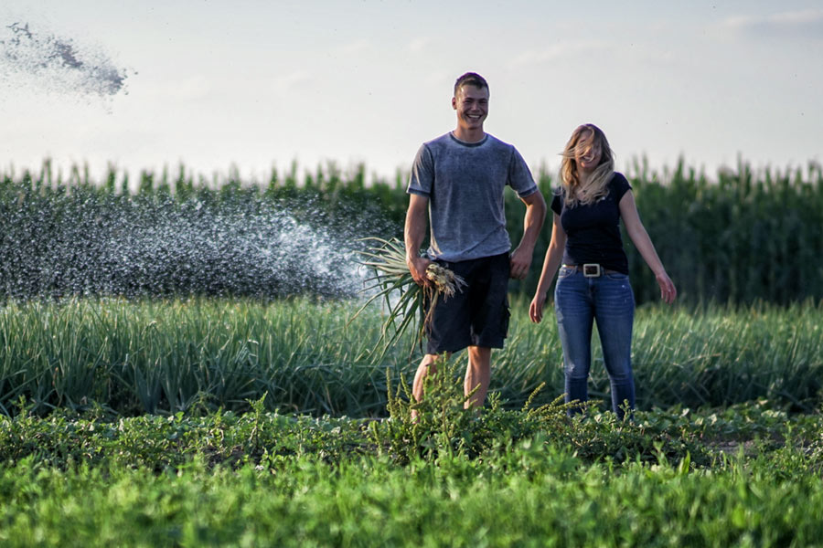 Dekoratives Bild Dekoratives Bild