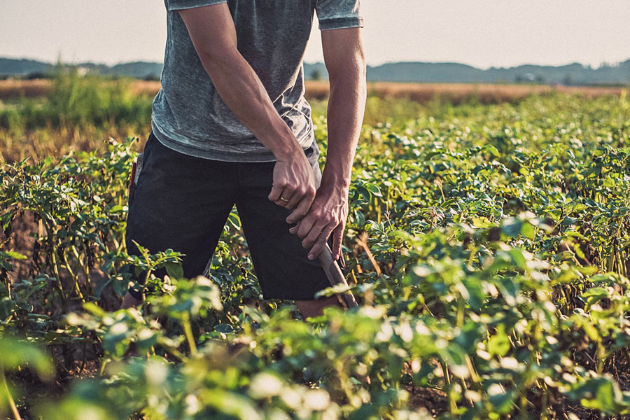 Dekoratives Bild Dekoratives Bild