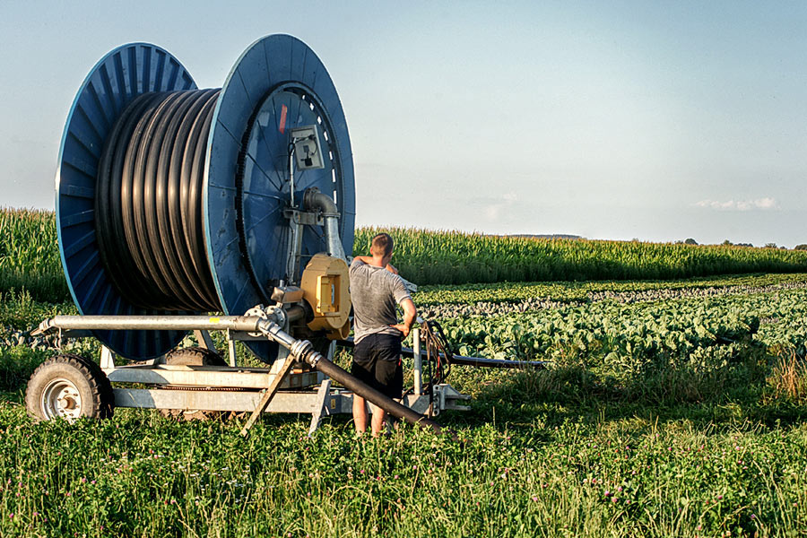 Dekoratives Bild Dekoratives Bild