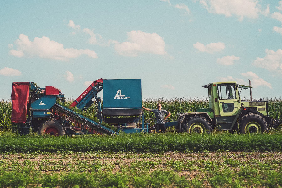 Dekoratives Bild Dekoratives Bild