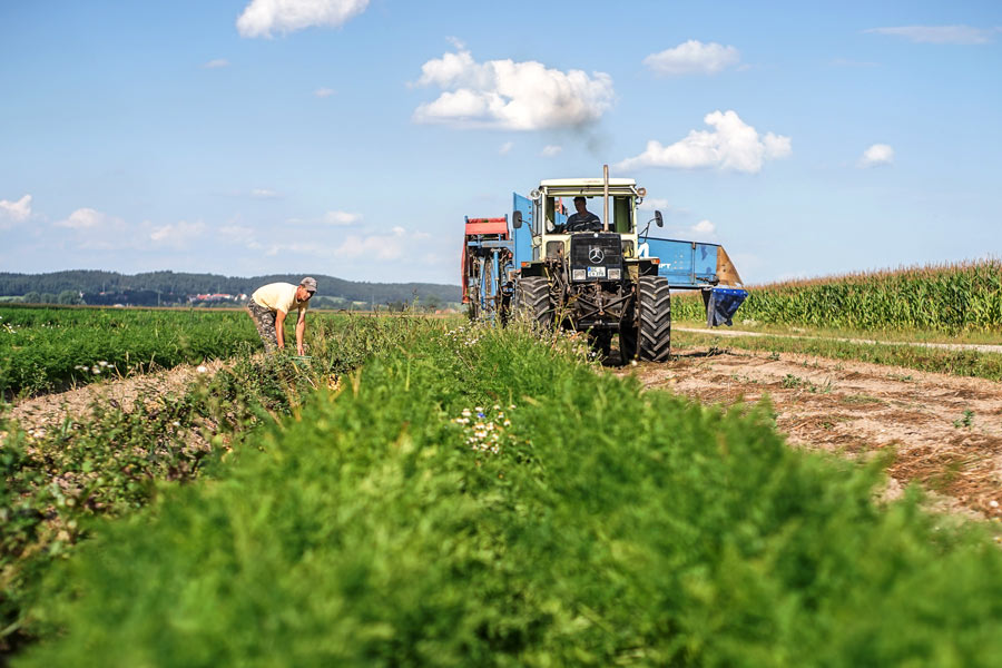 Dekoratives Bild Dekoratives Bild