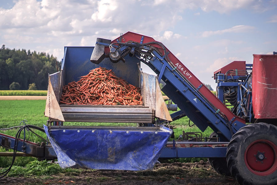 Dekoratives Bild Dekoratives Bild