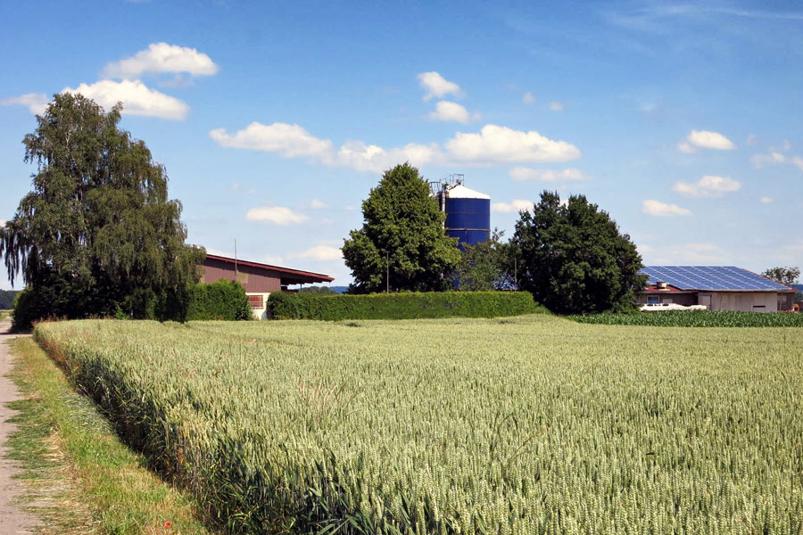 Dekoratives Bild Dekoratives Bild